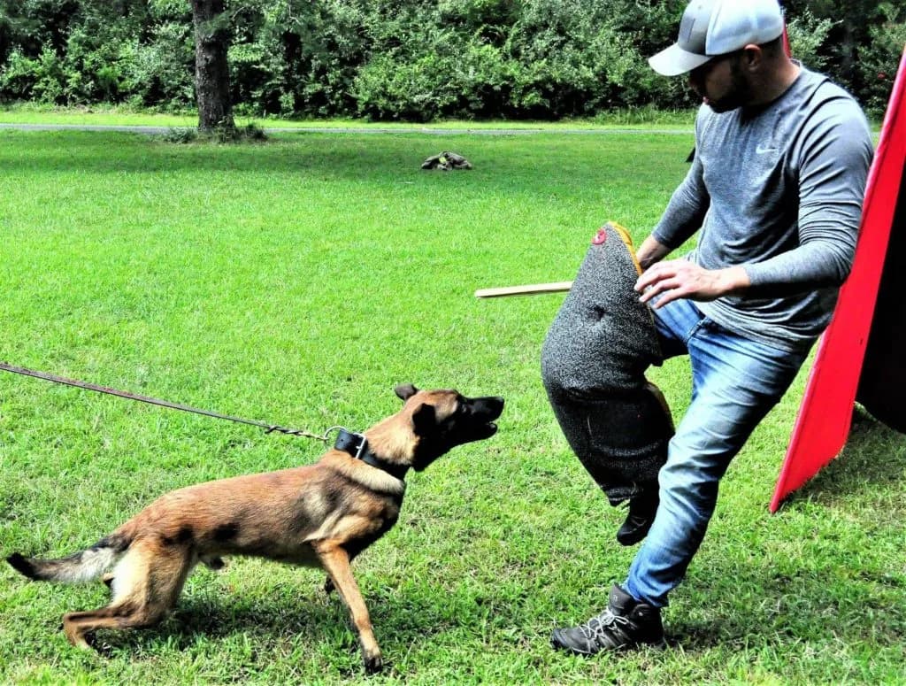 “A” Litter photo 147