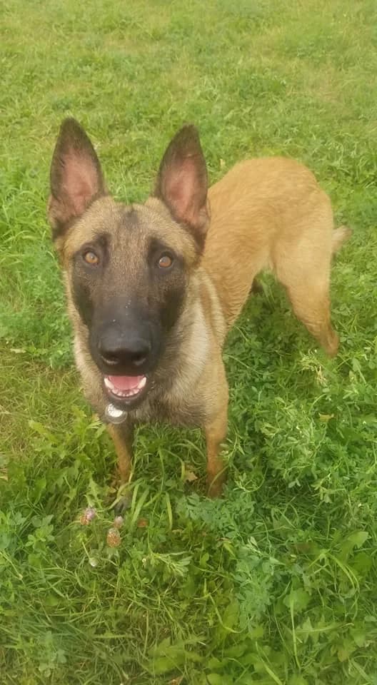 “A” Litter photo 152