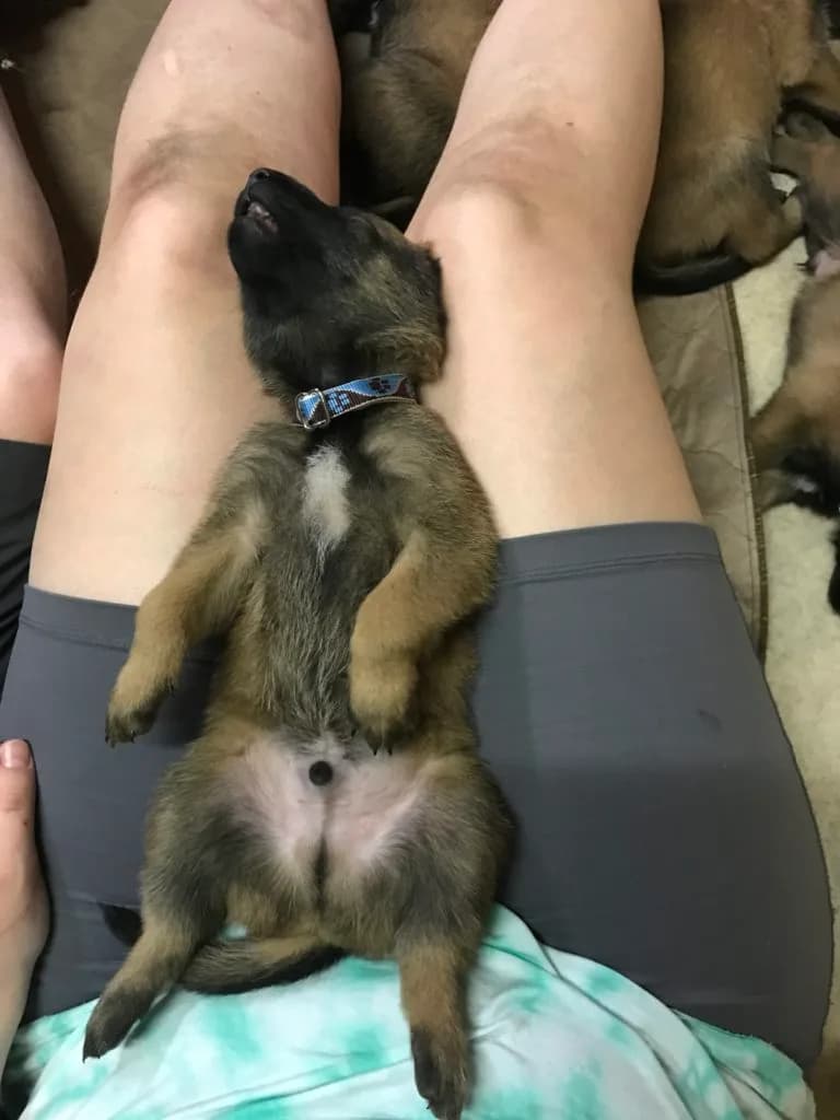 “A” Litter photo 65