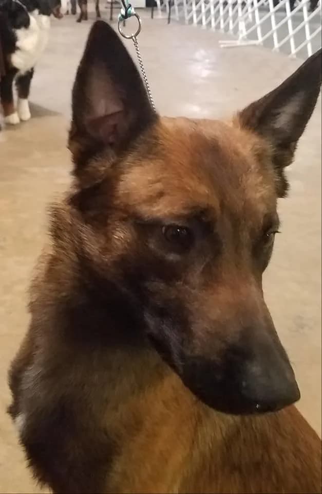 “A” Litter photo 198