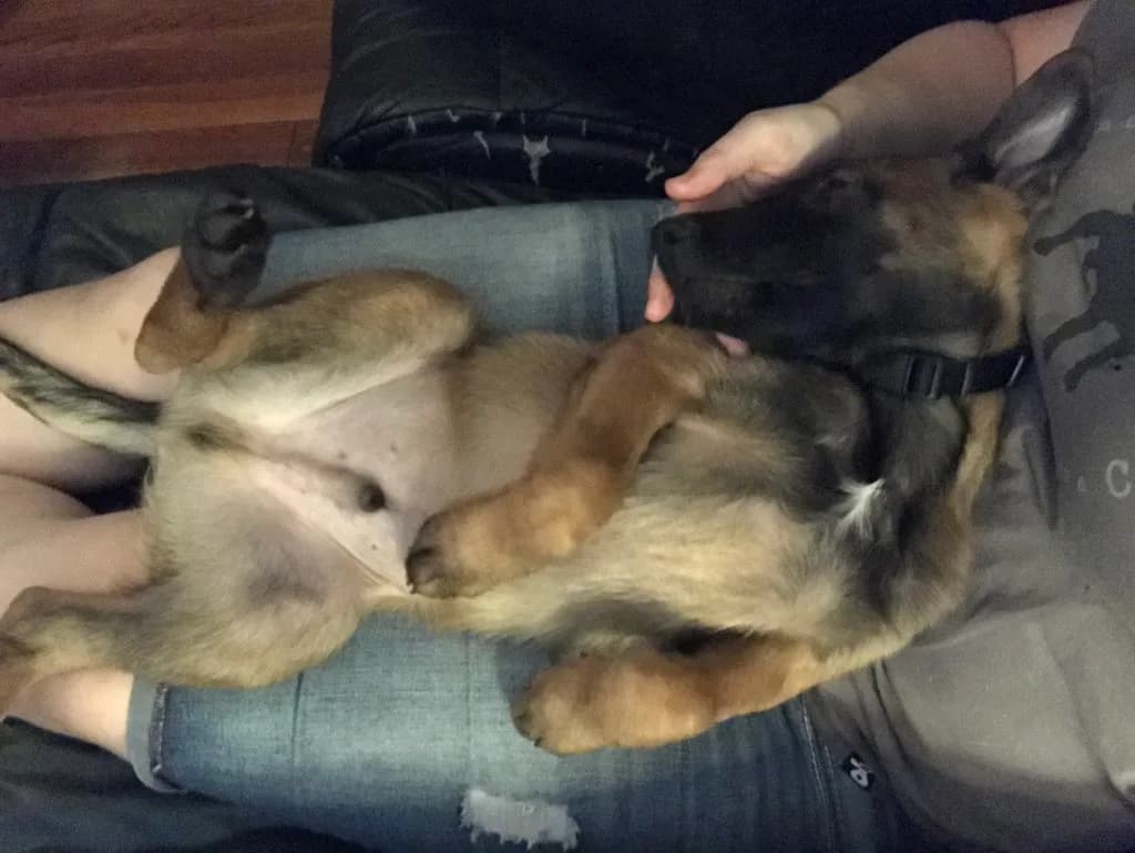 “A” Litter photo 77