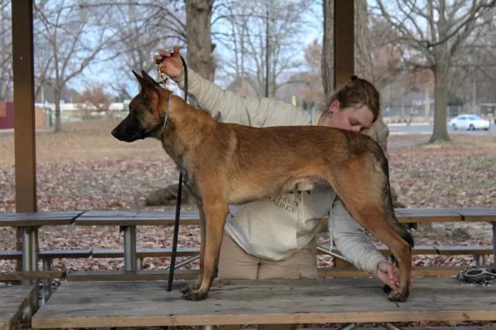 “A” Litter photo 184