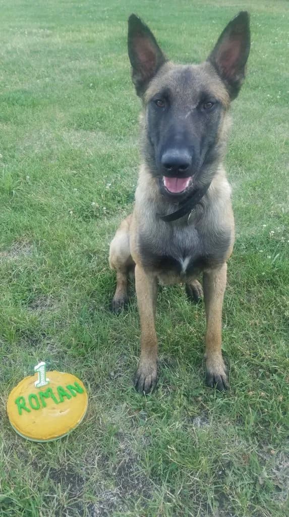 “A” Litter photo 142