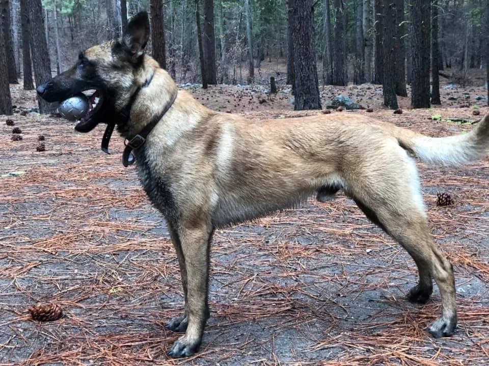 “A” Litter photo 201