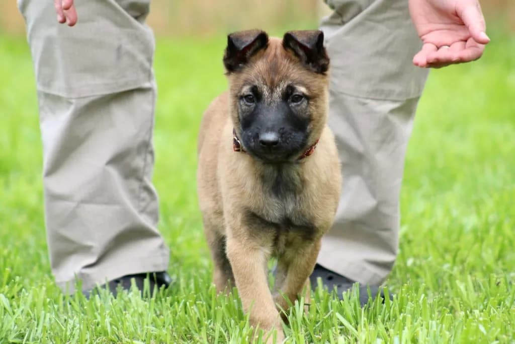 “B” Litter photo 198