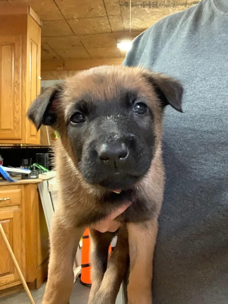 “B” Litter photo 109