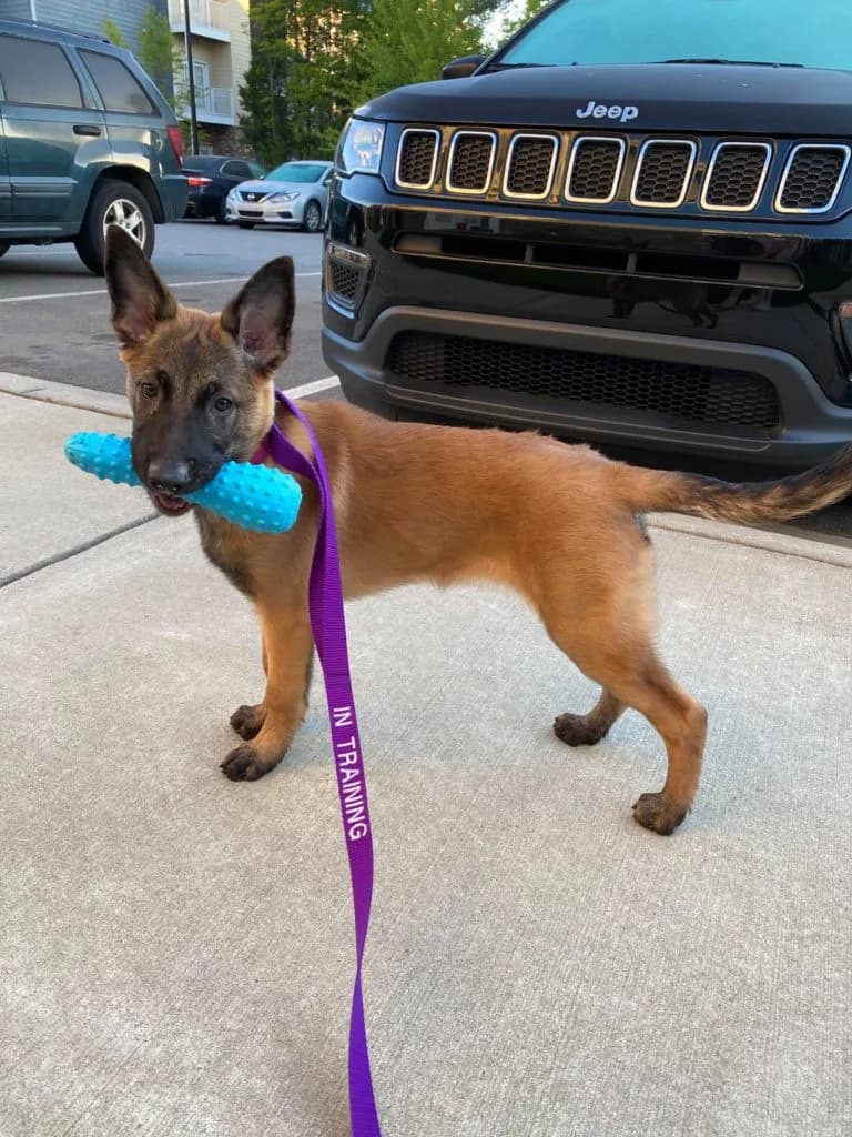 “B” Litter photo 383