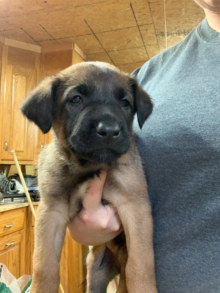 “B” Litter photo 98