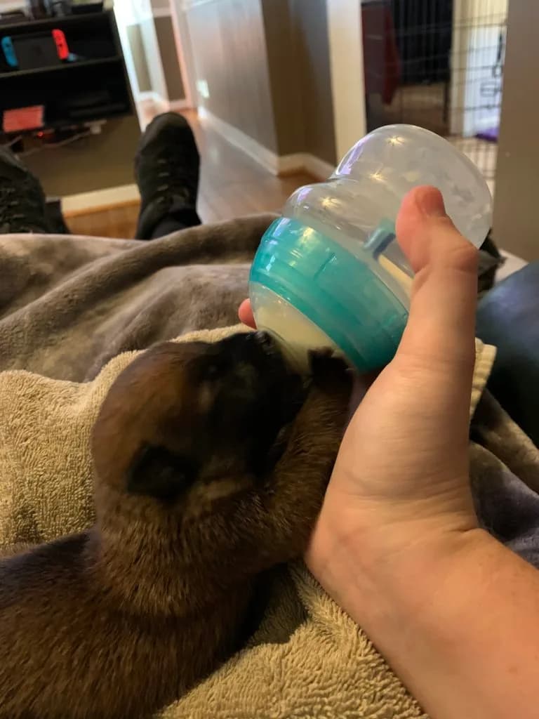 “B” Litter photo 16
