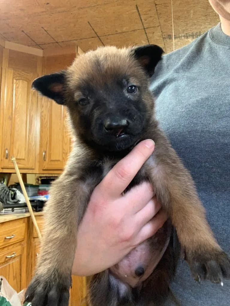 “B” Litter photo 104
