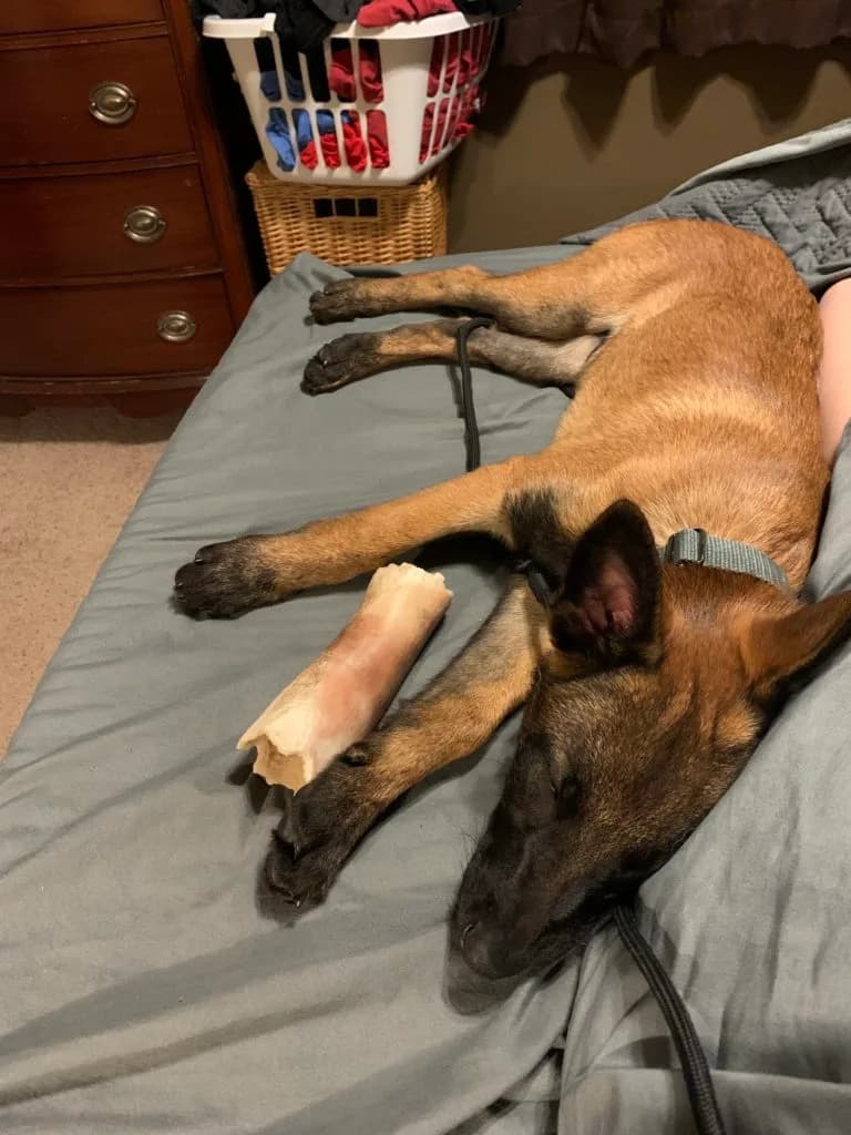 “B” Litter photo 373