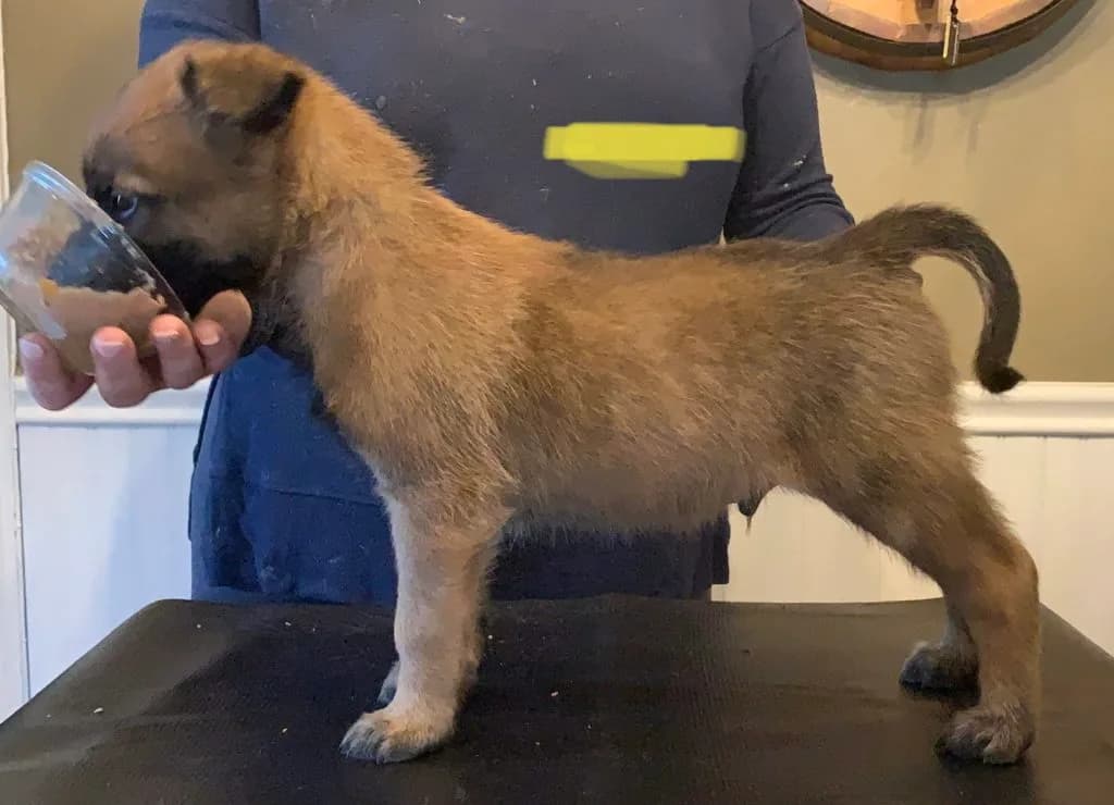 “B” Litter photo 128