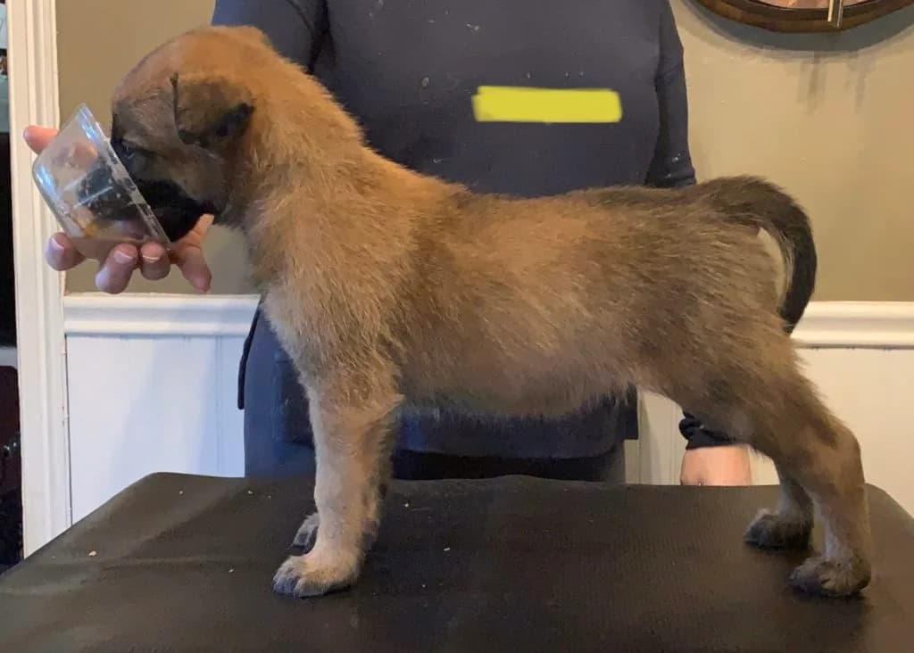 “B” Litter photo 127
