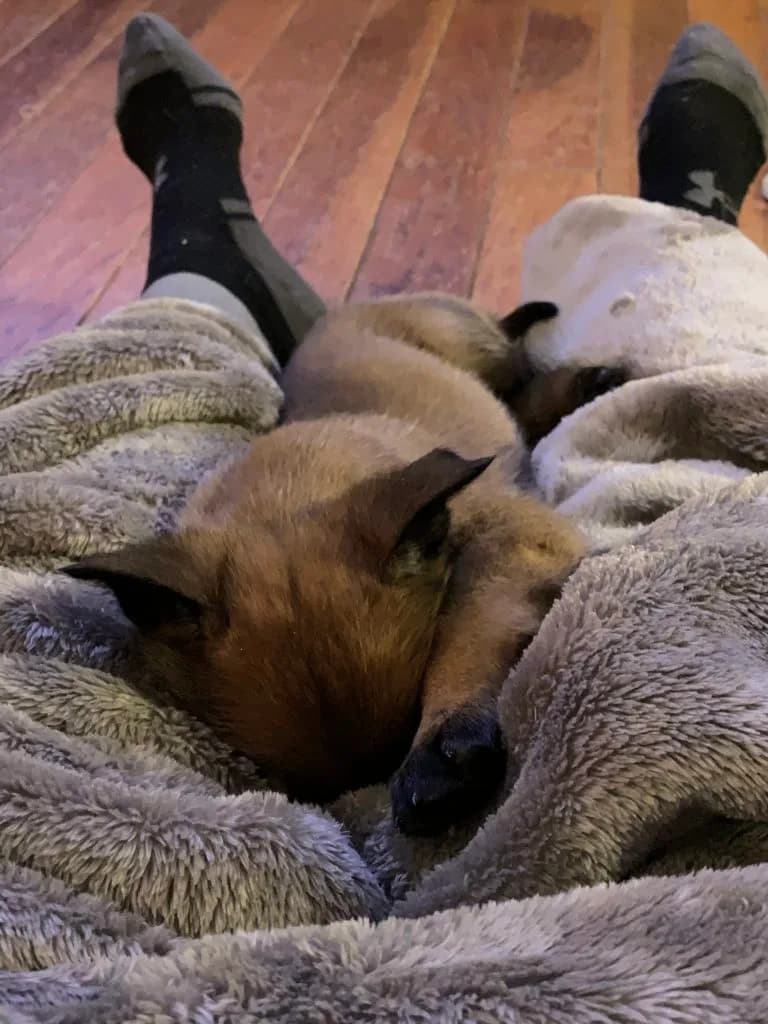 “B” Litter photo 144