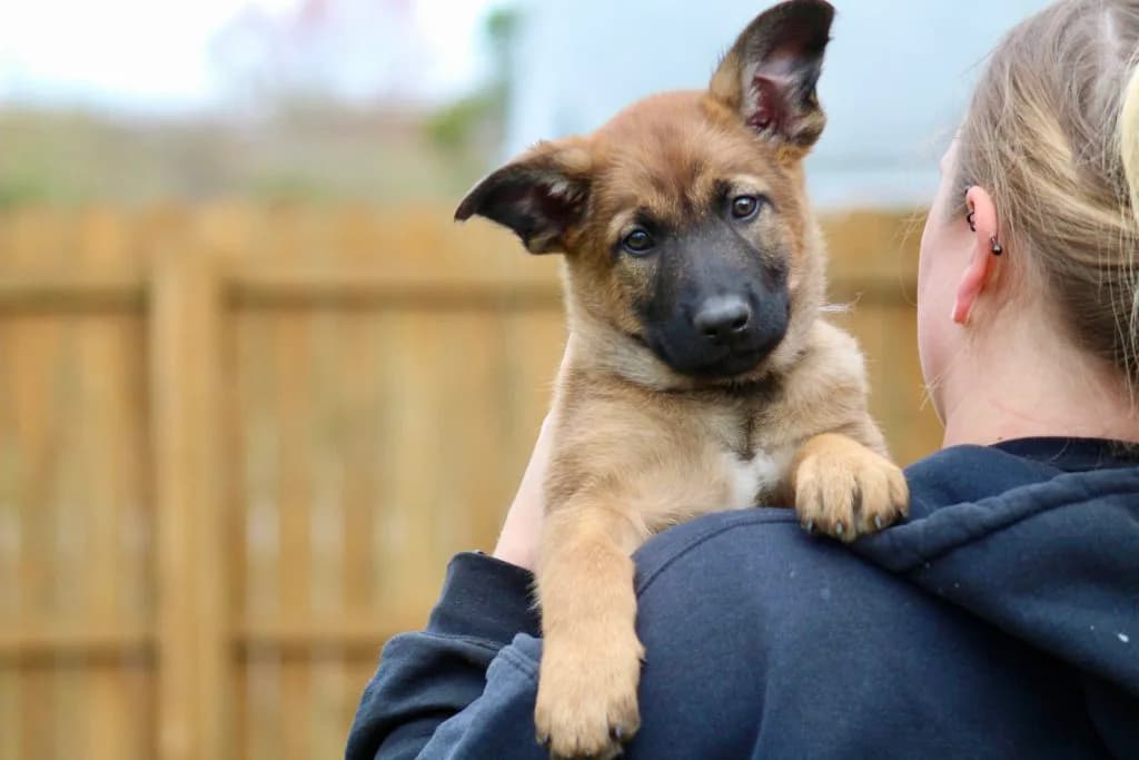 “B” Litter photo 211