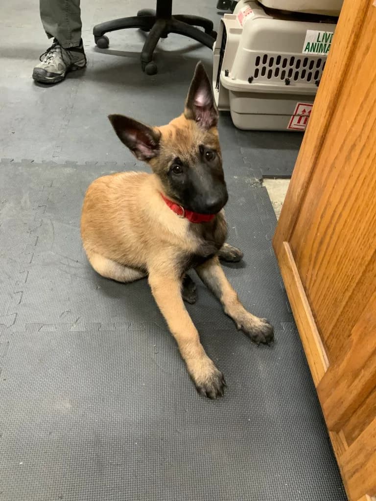 “B” Litter photo 296