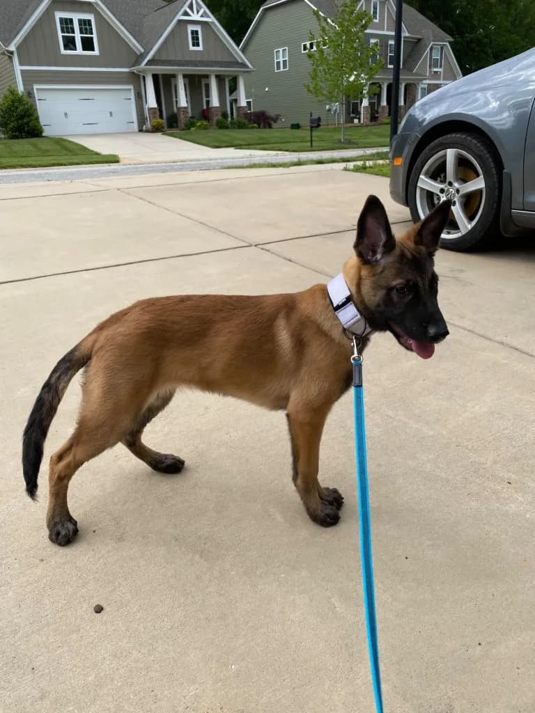 “B” Litter photo 397