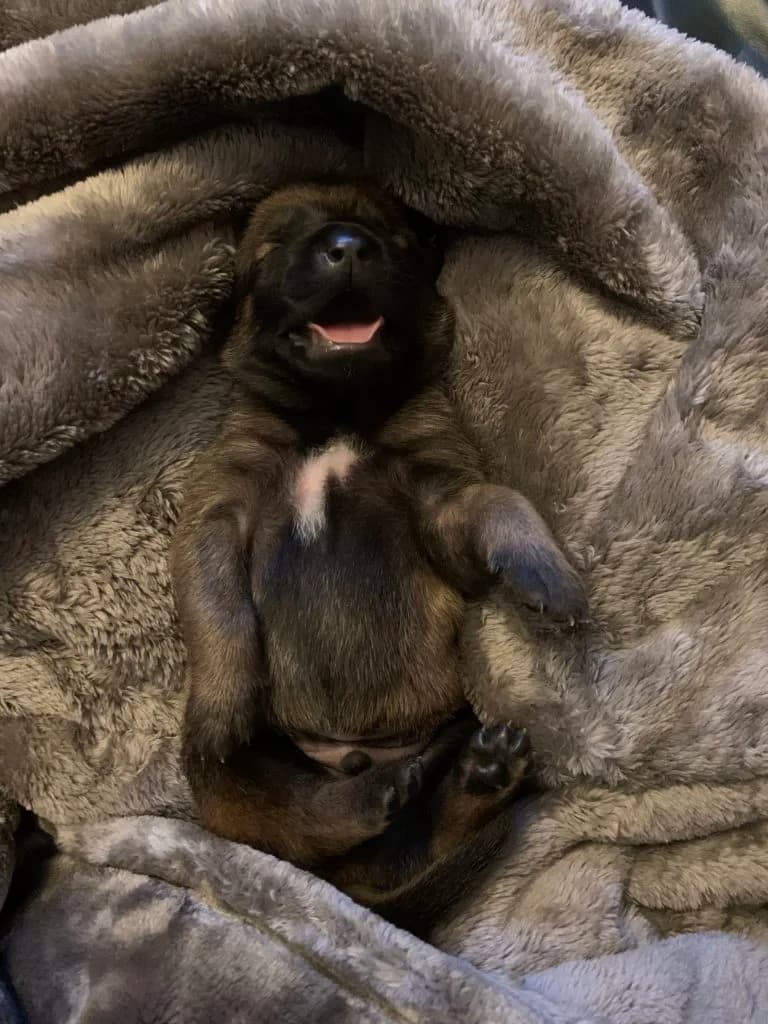 “B” Litter photo 17