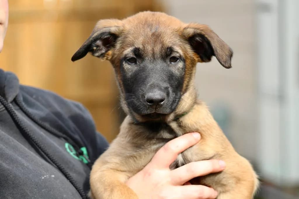 “B” Litter photo 233