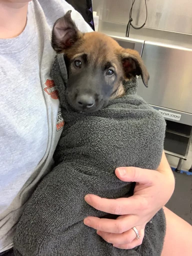 “B” Litter photo 257