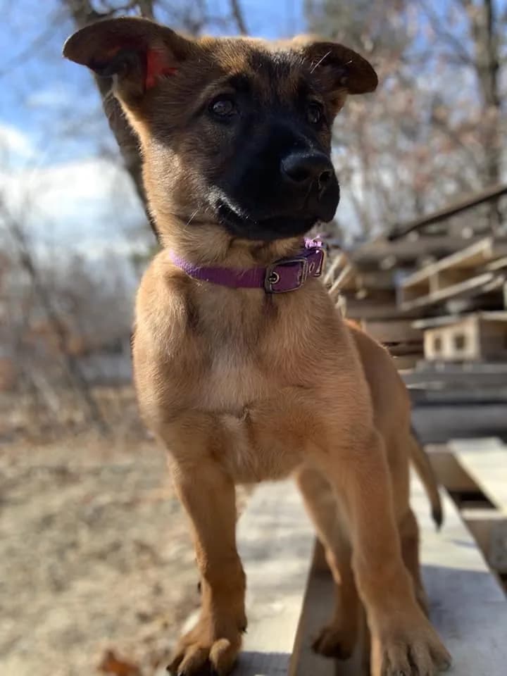 “B” Litter photo 272