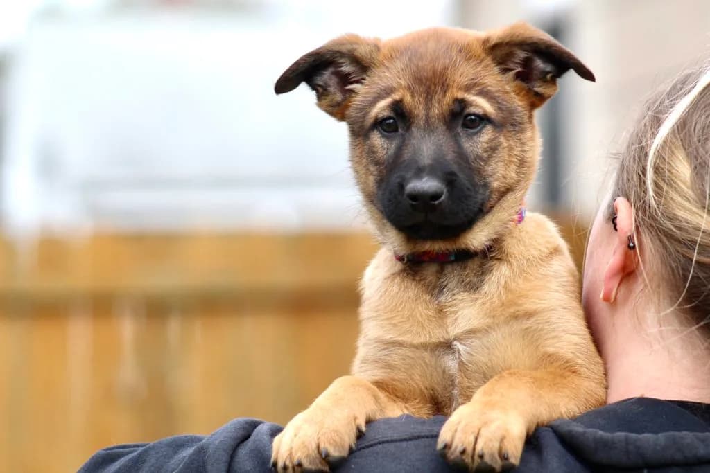 “B” Litter photo 218