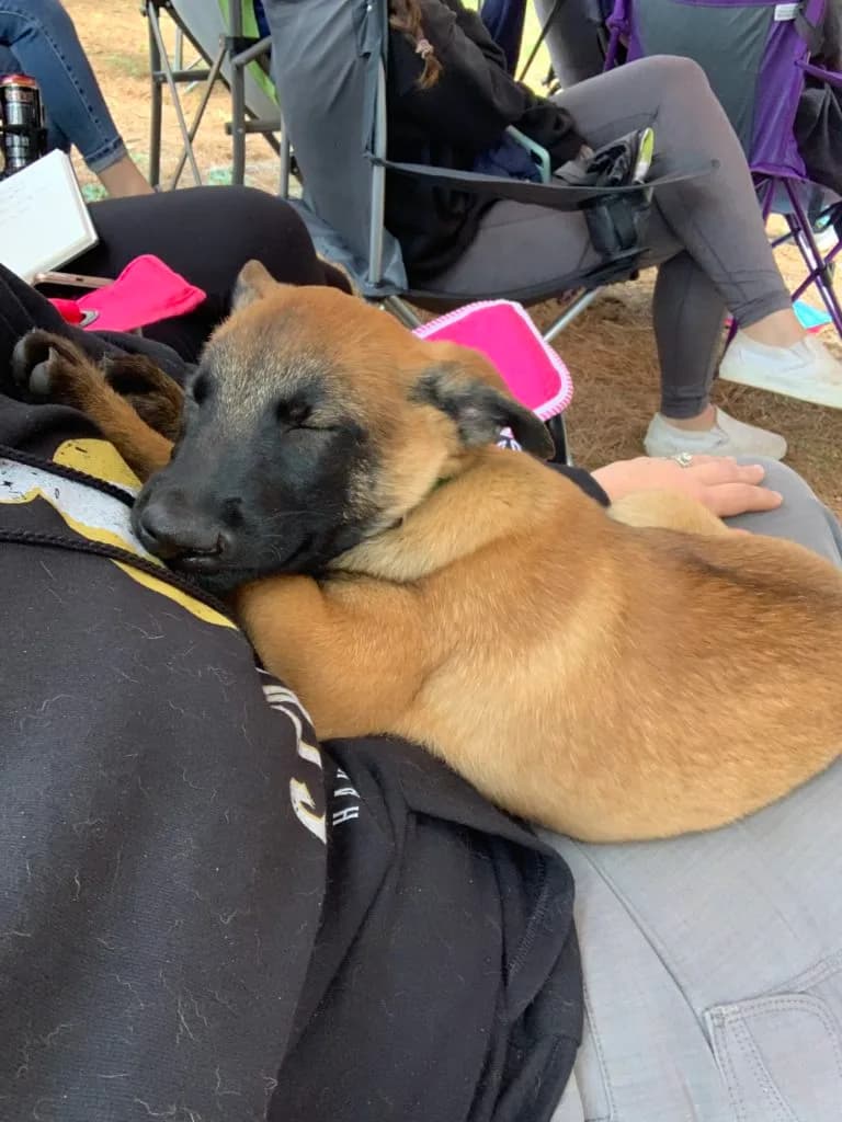 “B” Litter photo 290