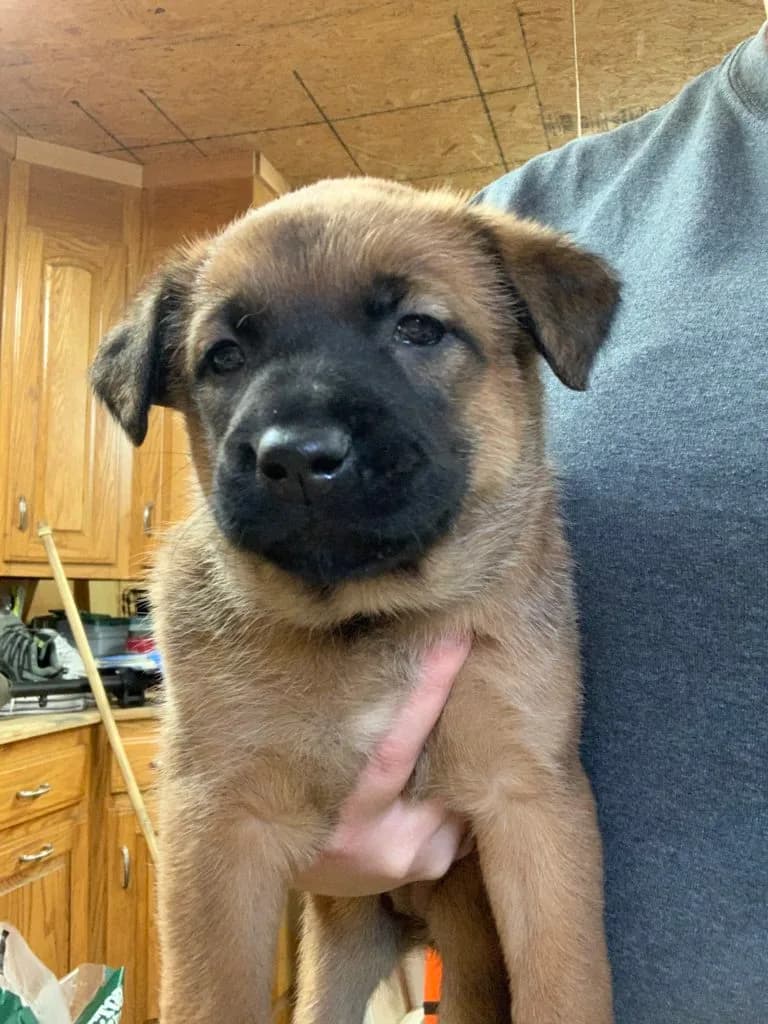 “B” Litter photo 100