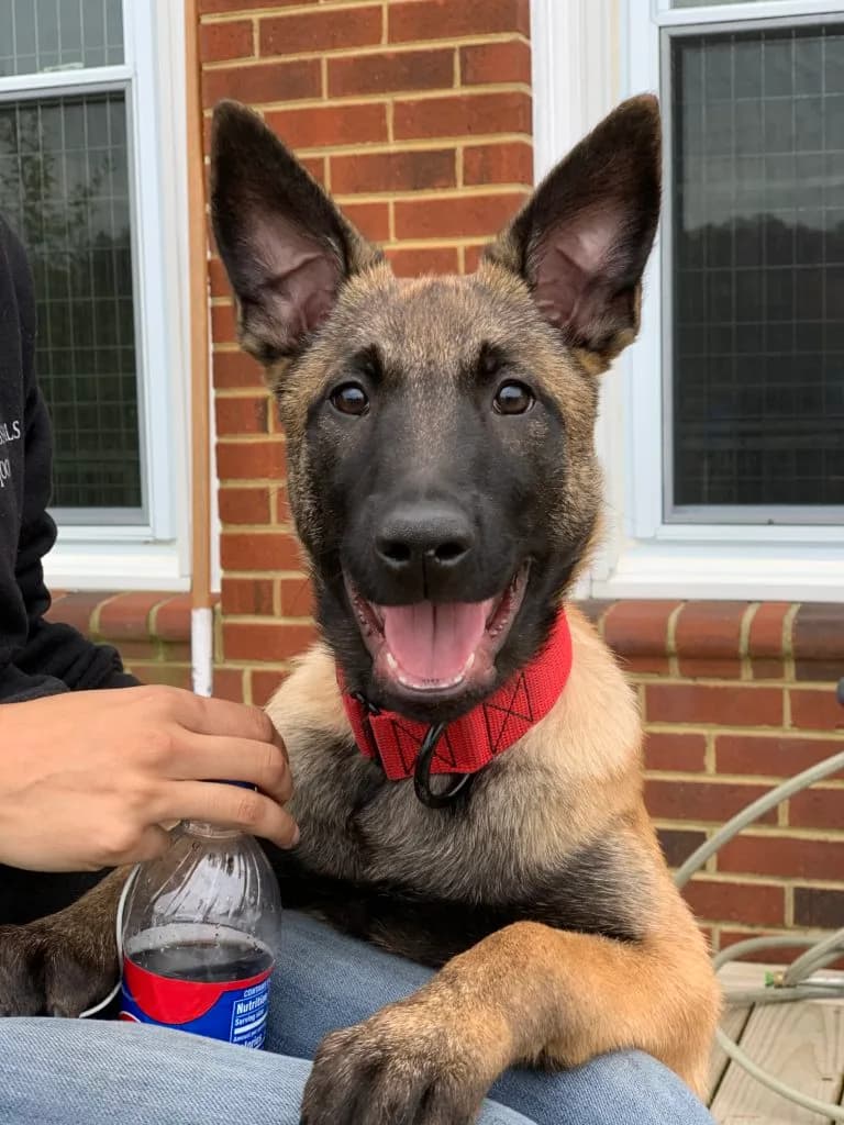 “B” Litter photo 377