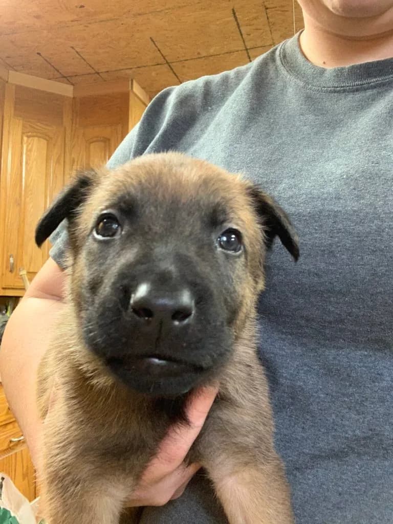 “B” Litter photo 106