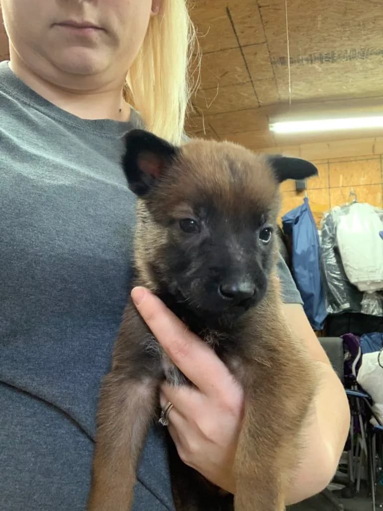 “B” Litter photo 102