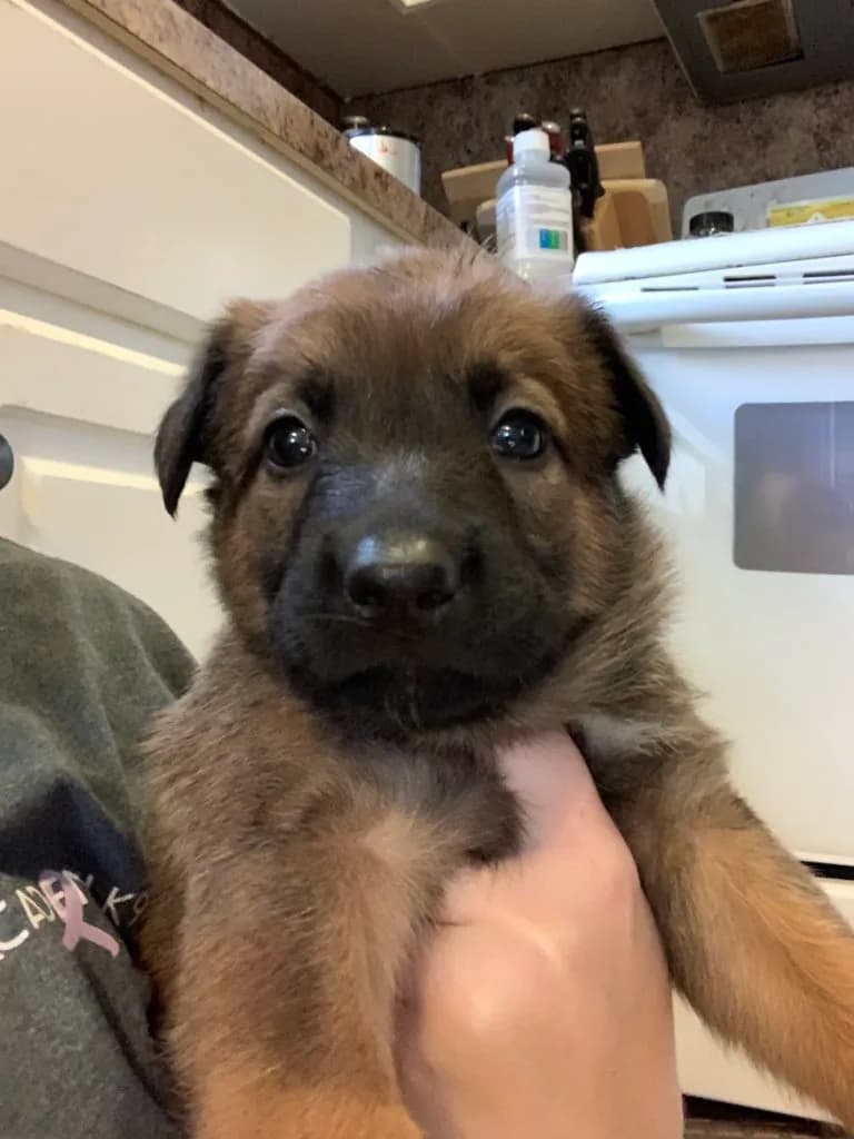 “B” Litter photo 91