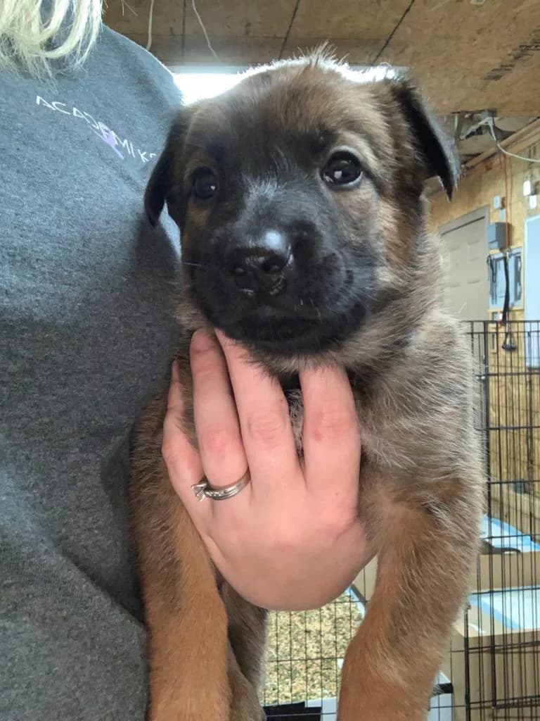 “B” Litter photo 96
