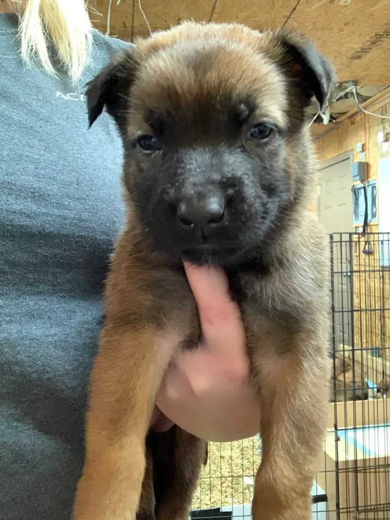 “B” Litter photo 93