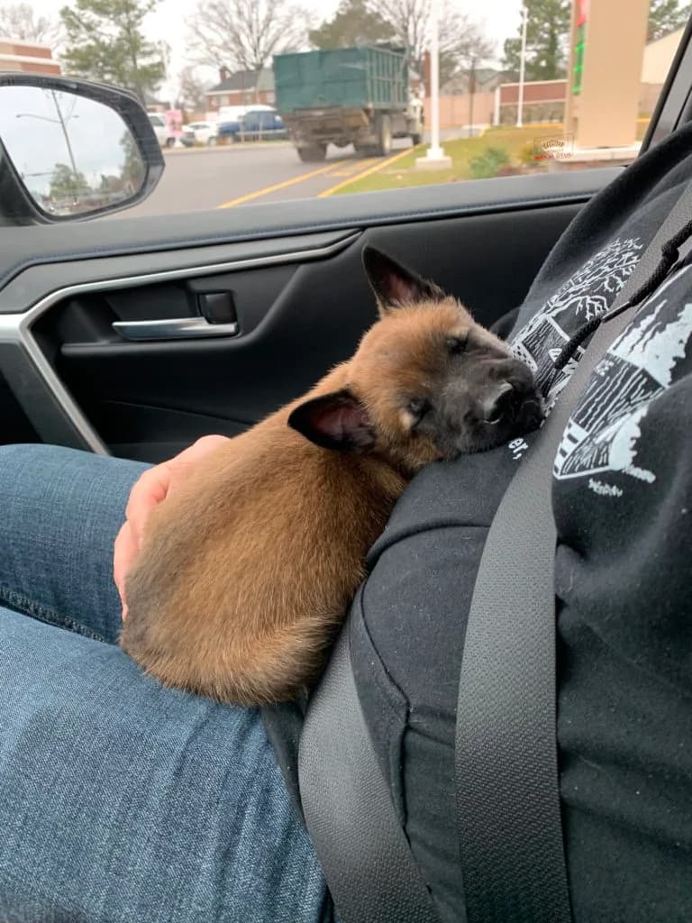 “B” Litter photo 146