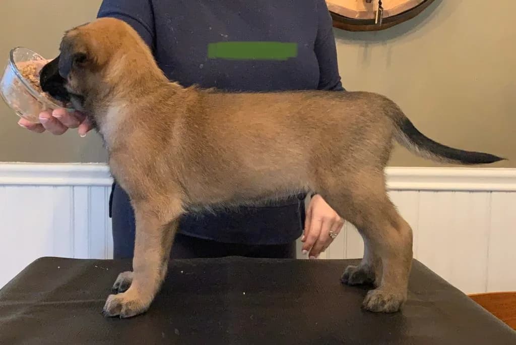 “B” Litter photo 117