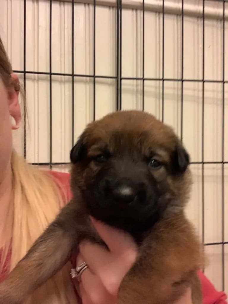 “B” Litter photo 70