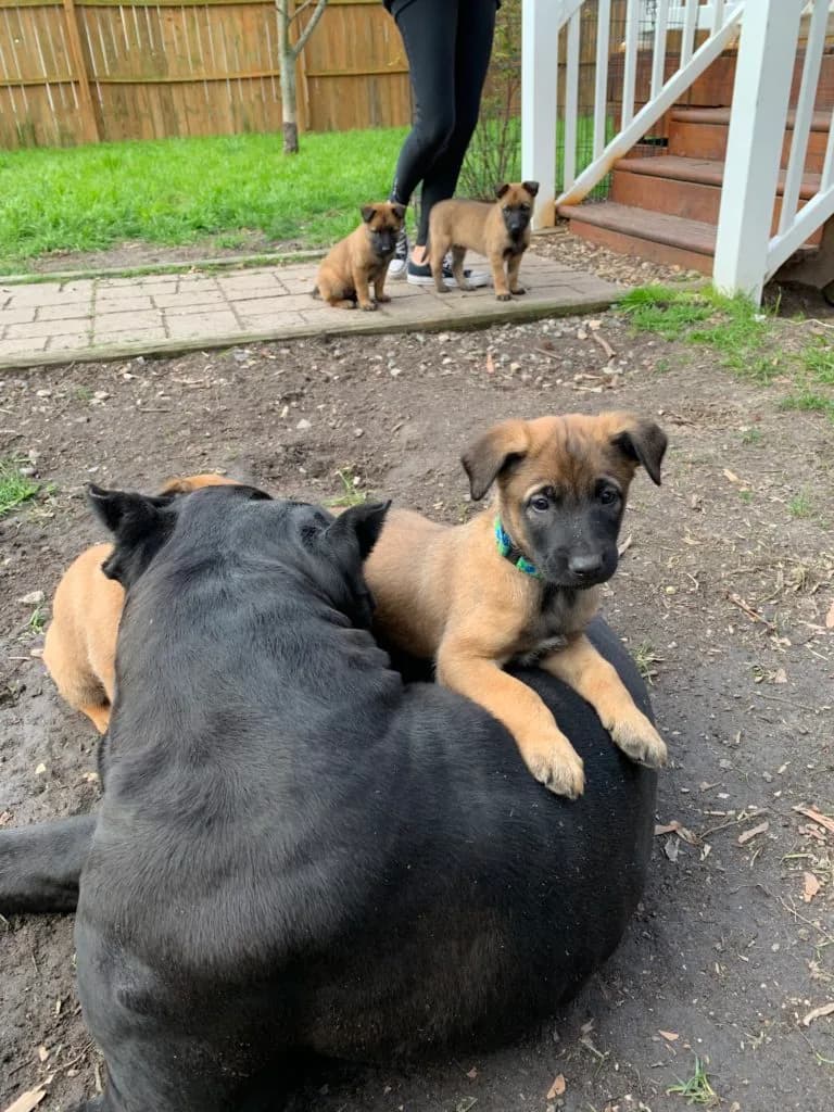 “B” Litter photo 139