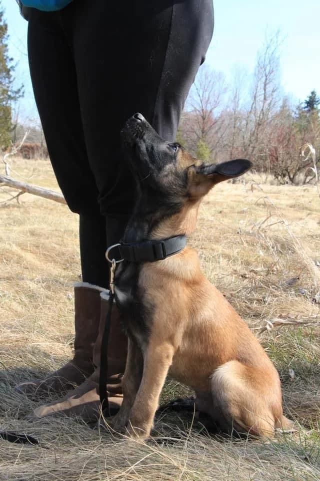 “B” Litter photo 365
