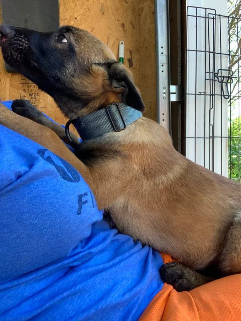 “B” Litter photo 351