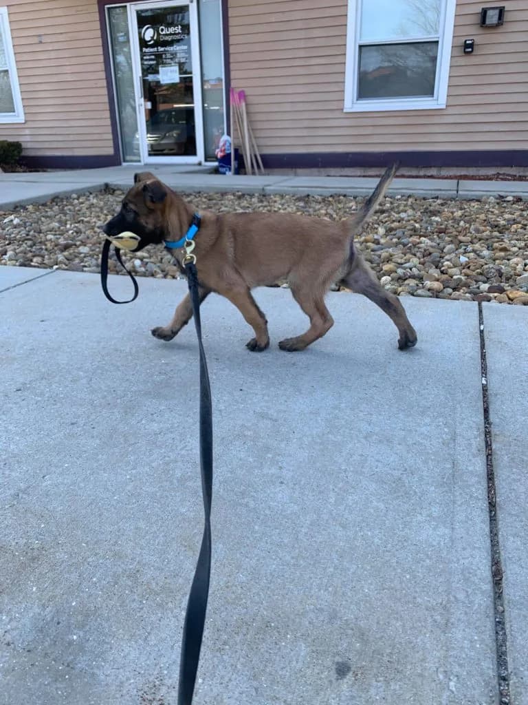 “B” Litter photo 264