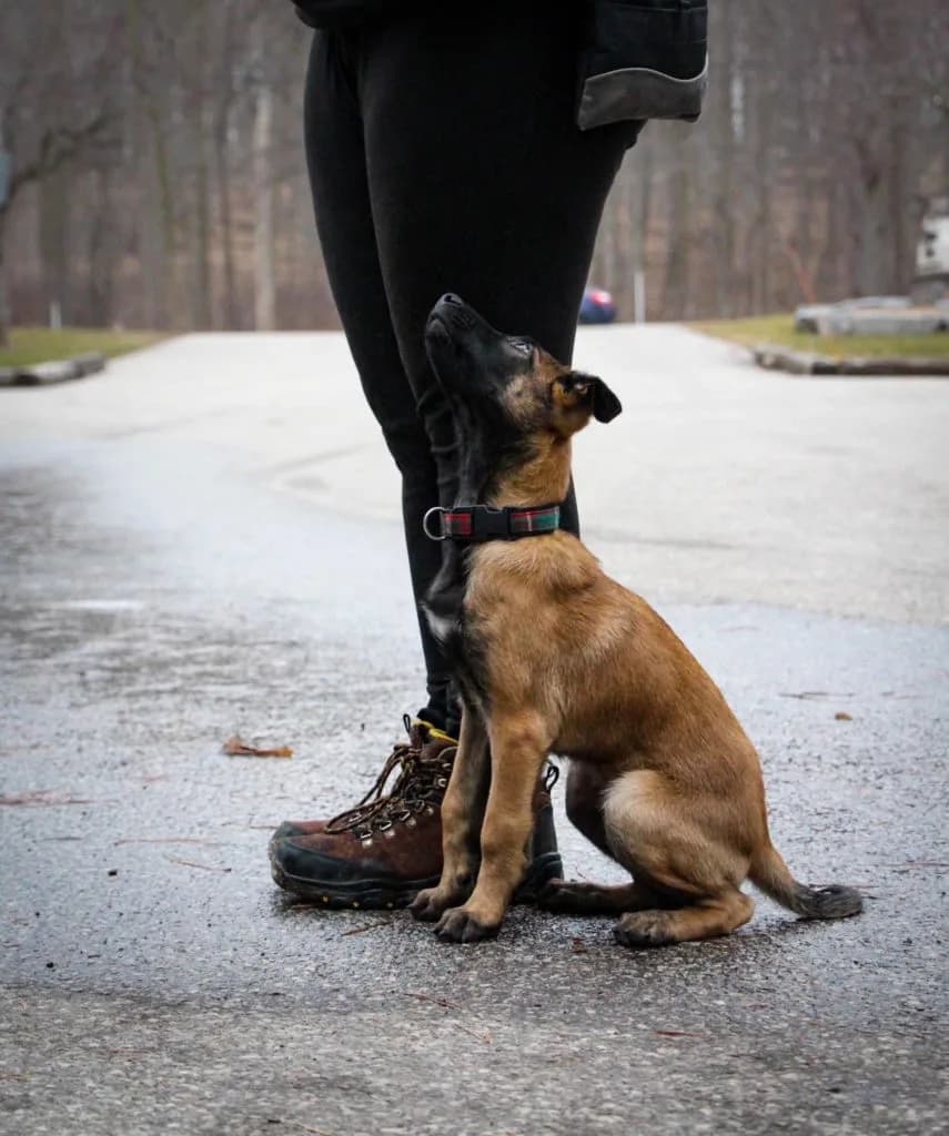 “B” Litter photo 394