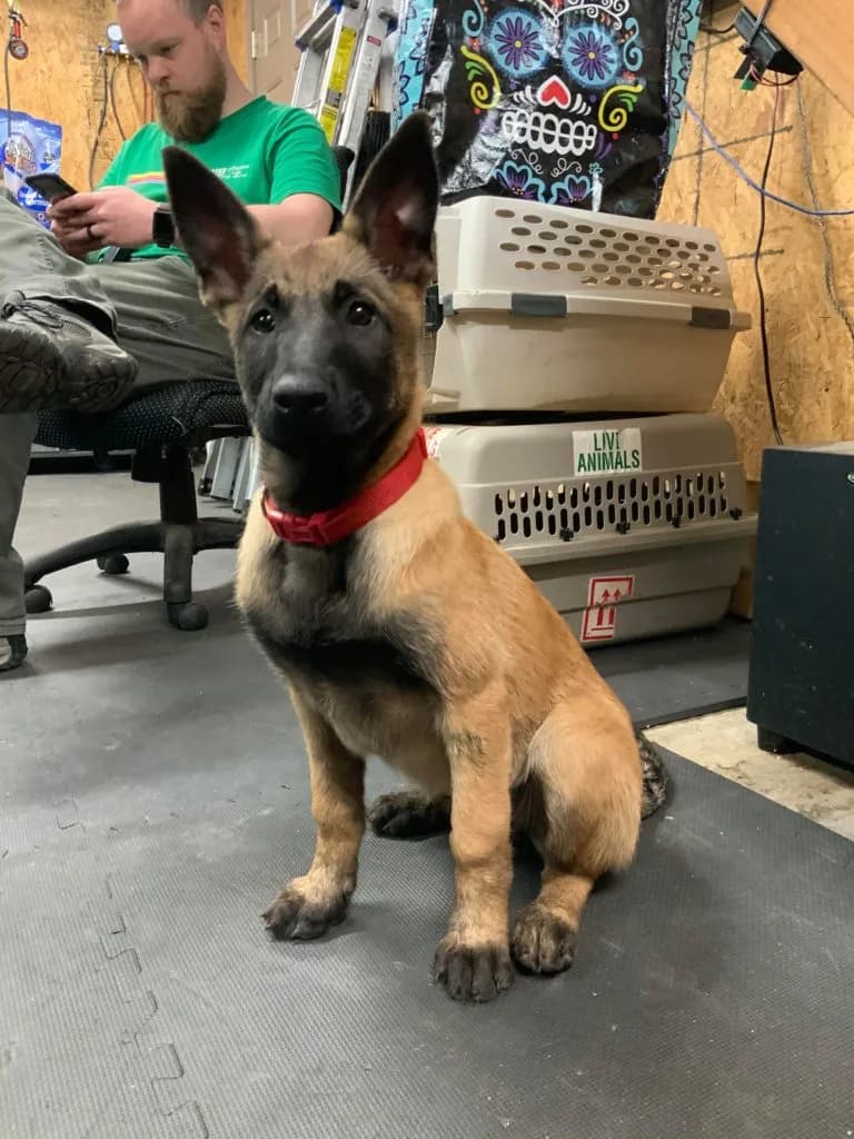 “B” Litter photo 311