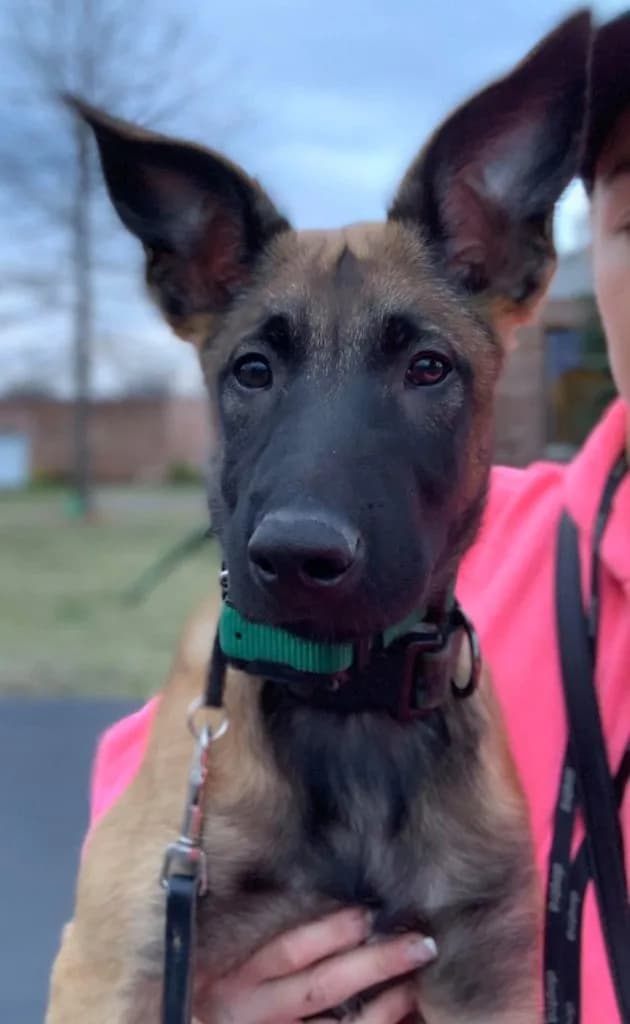 “B” Litter photo 374