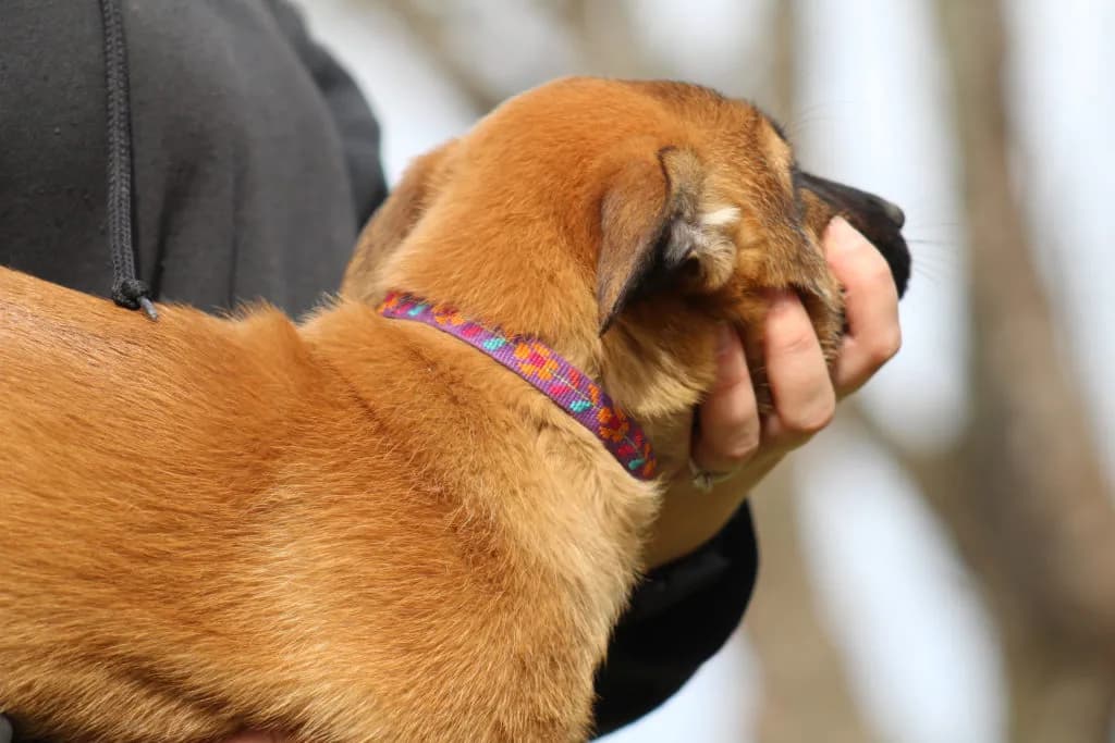 “B” Litter photo 229