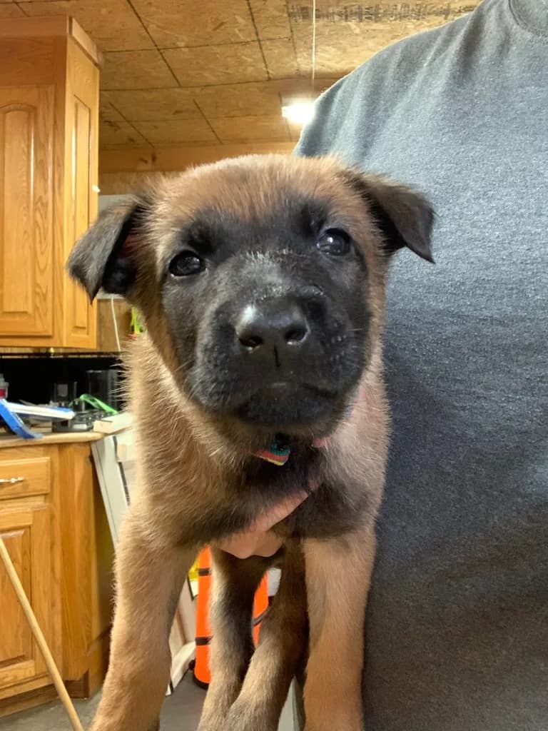 “B” Litter photo 107