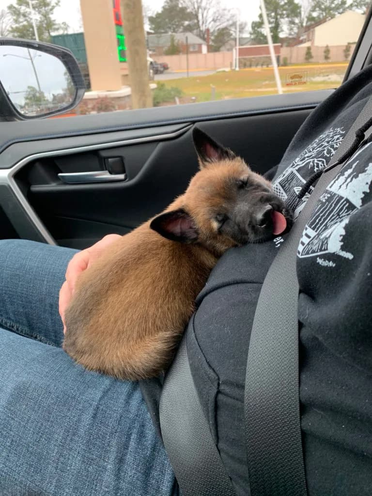 “B” Litter photo 145