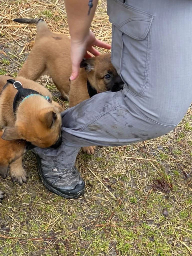 “B” Litter photo 155