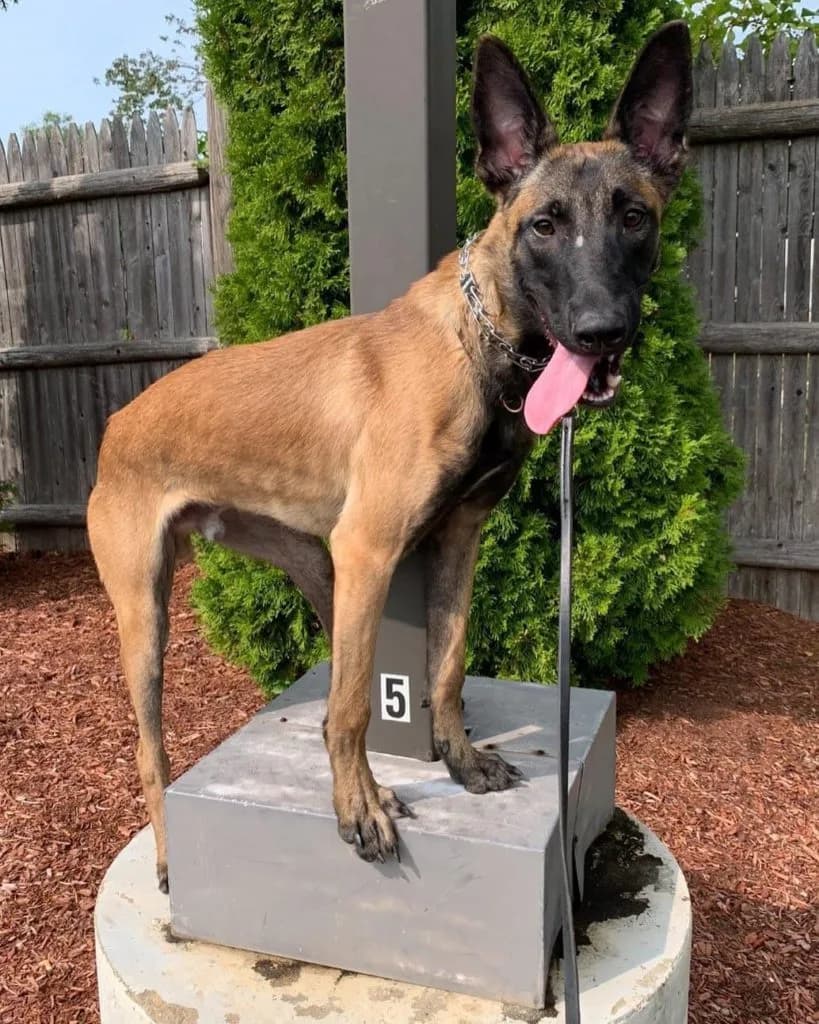 “B” Litter photo 422