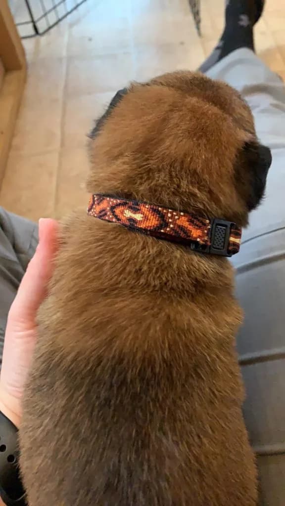 “B” Litter photo 71